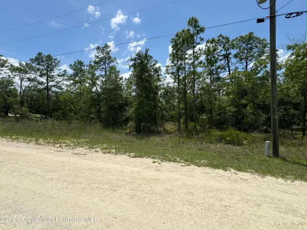 0 Scaup Duck Avenue, Weeki Wachee, FL, 34614
