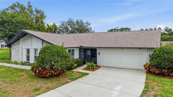 3280 Skene Terrace, Palm Harbor, FL, 34684