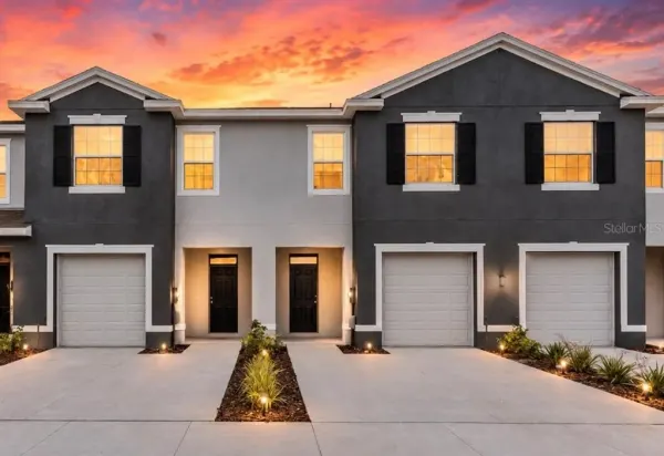 32202 Turtle Grace Loop, Wesley Chapel, FL, 33545