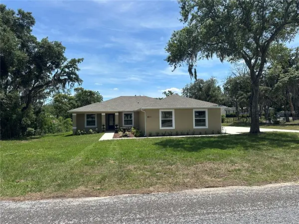 4011 AMBER ROAD, VALRICO, FL, 33594
