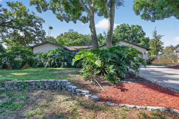 2713 Willow Oaks Drive, Valrico, FL, 33594