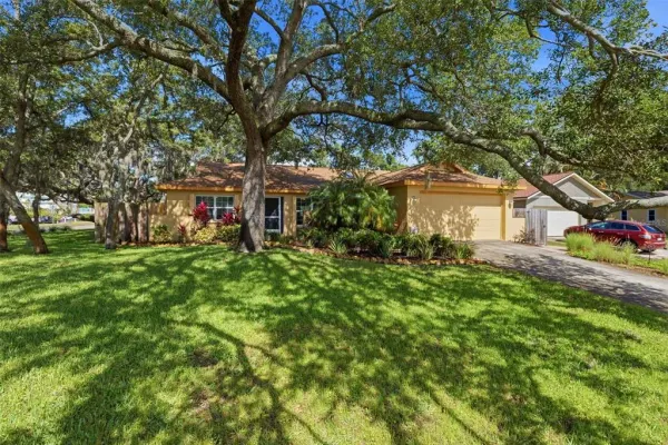 3301 Briarwood Lane, Safety Harbor, FL, 34695