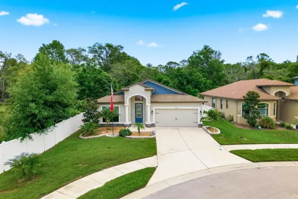 11632 Weaver Hollow Road, New Port Richey, FL, 34654