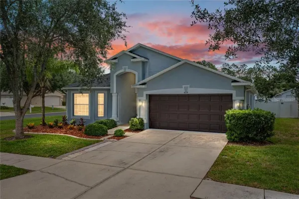 4224 Branchside Lane, Wesley Chapel, FL, 33543