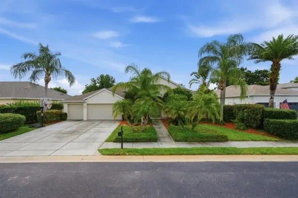 2138 Edelweiss Loop, Trinity, FL, 34655