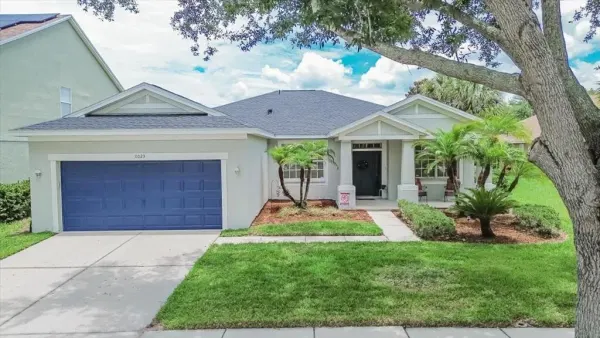 11023 Holly Cone Drive, Riverview, FL, 33569