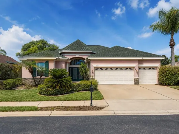 2021 Blue Beech Court, Trinity, FL, 34655