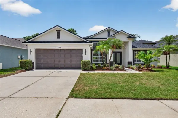 7705 Nottinghill Sky Drive, Apollo Beach, FL, 33572