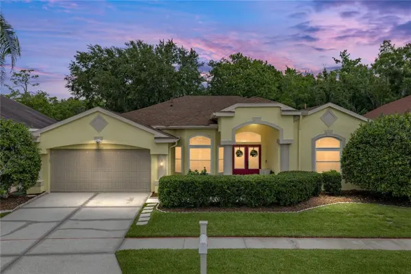 1808 Tangledvine Drive, Wesley Chapel, FL, 33543
