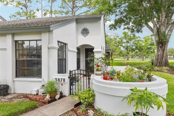 3878 Tanager Place, Palm Harbor, FL, 34685
