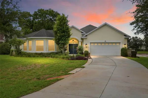 19930 Dolores Ann Court, Lutz, FL, 33549