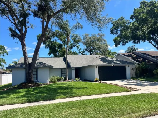 15026 Redcliff Drive, Tampa, FL, 33625