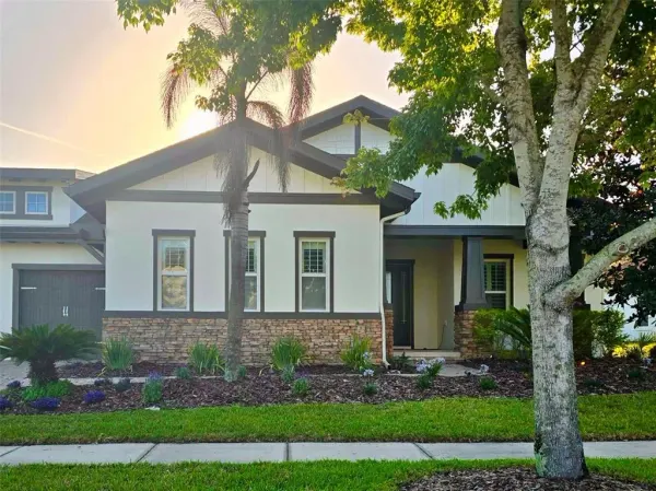 5208 Alafia Falls Drive, Lithia, FL, 33547