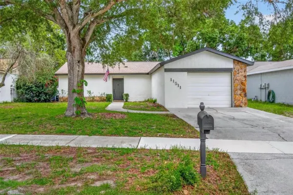 11511 Paperwood Place, Riverview, FL, 33579