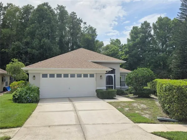 7740 Craighurst Loop, Trinity, FL, 34655