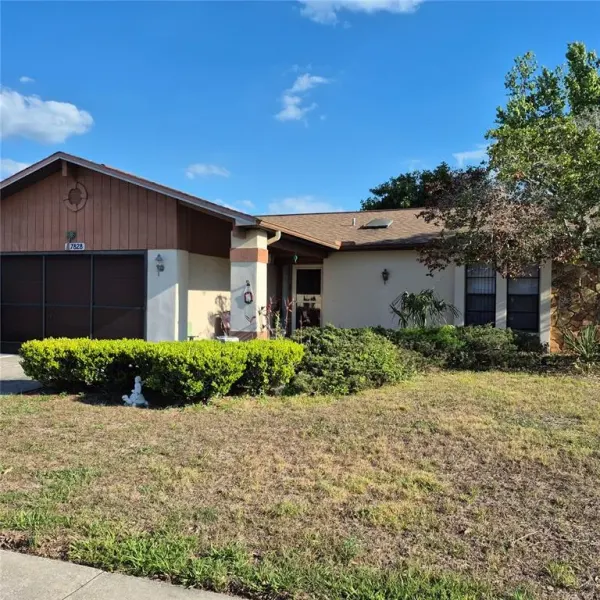 7828 Royal Stewart Drive, New Port Richey, FL, 34653